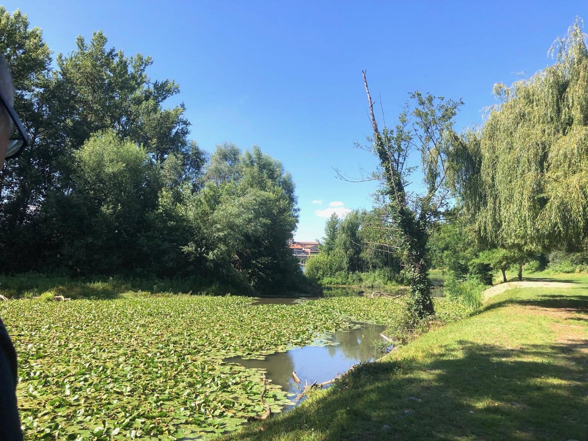 Beautiful Village House Next To Garonne River! Couladere Extérieur photo