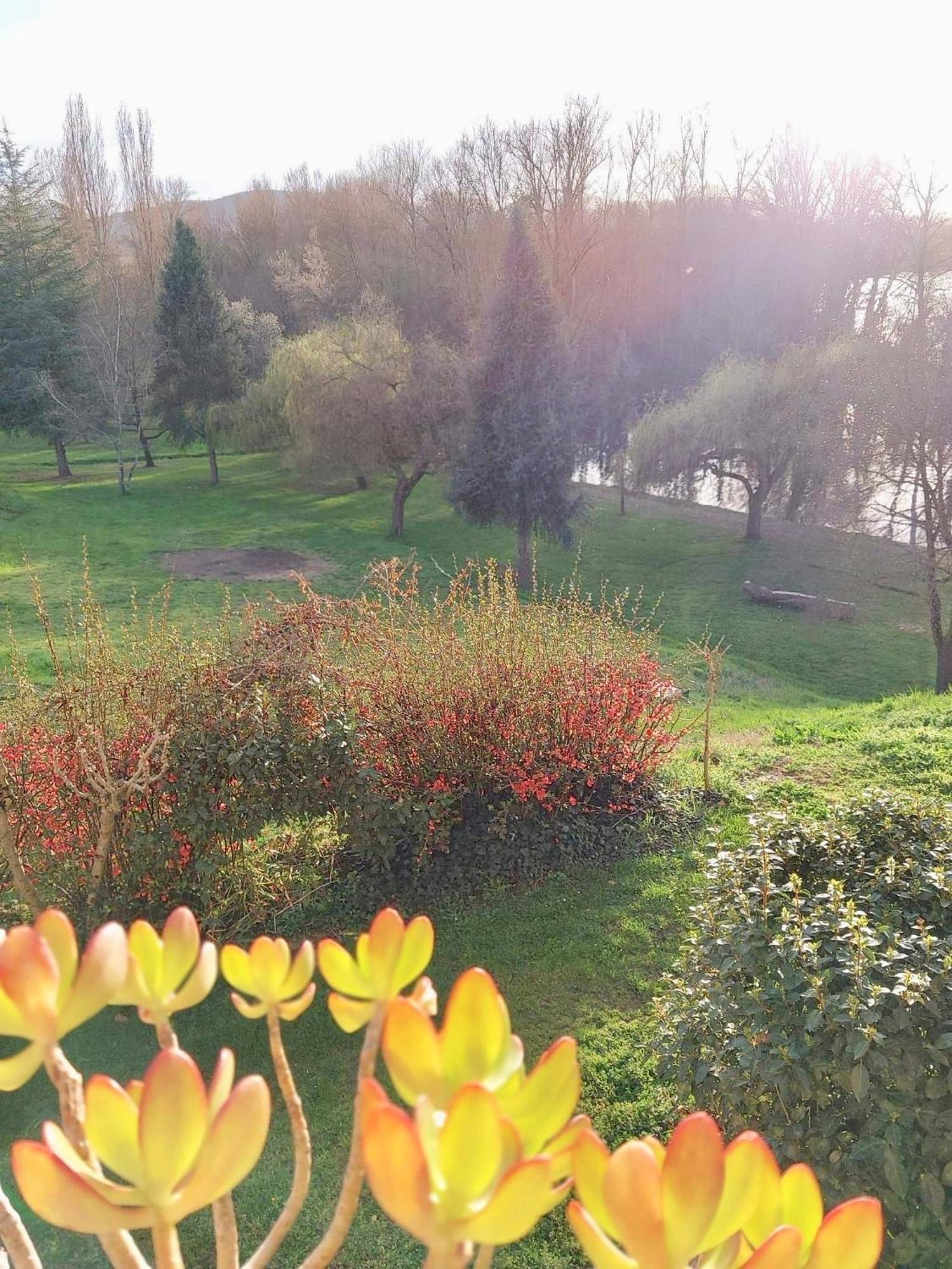 Beautiful Village House Next To Garonne River! Couladere Extérieur photo